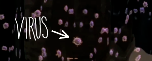 influenza