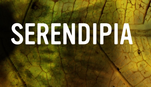 Serendipia