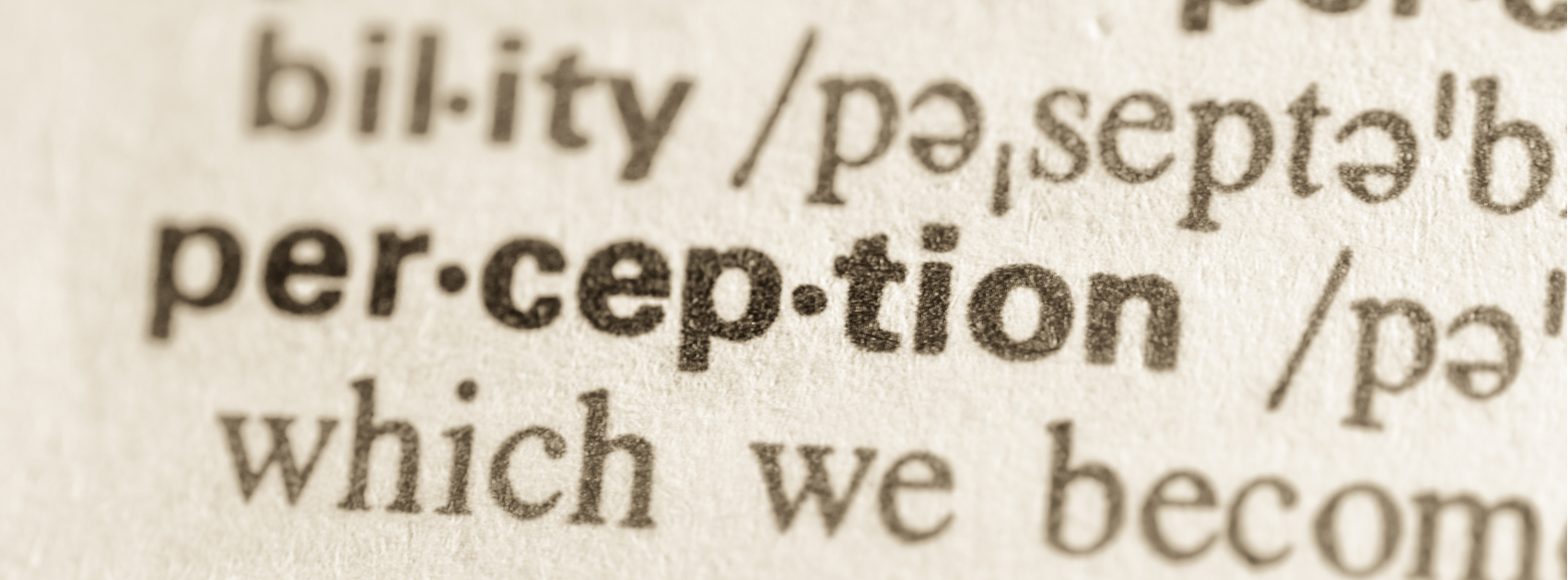 Perception